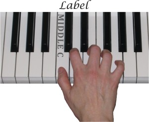 piano lesson with hand